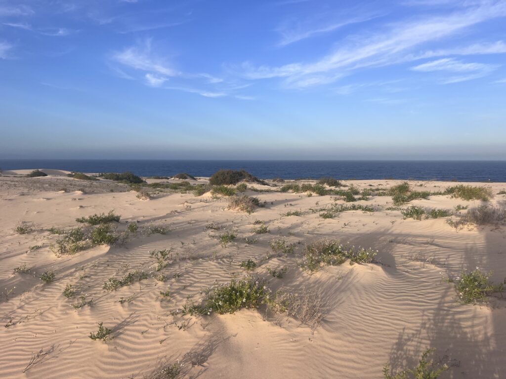 Fuerteventura Travel Guide