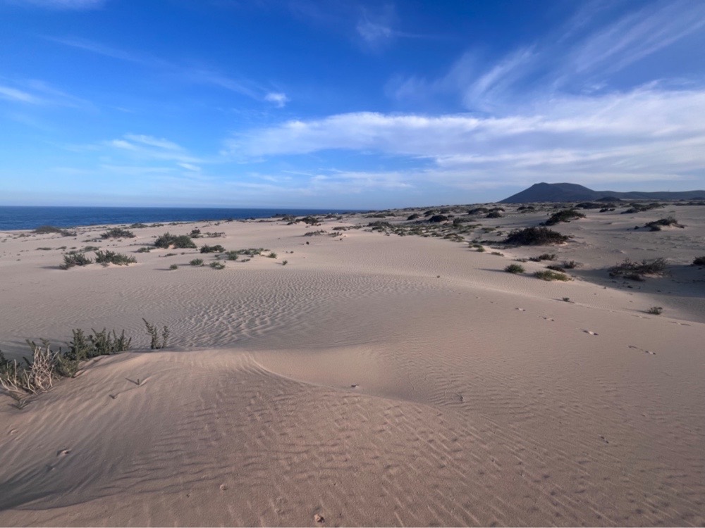 dunes and sea 