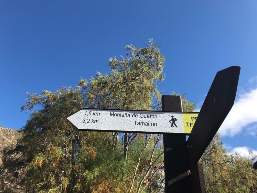 hiking in Tenerife 