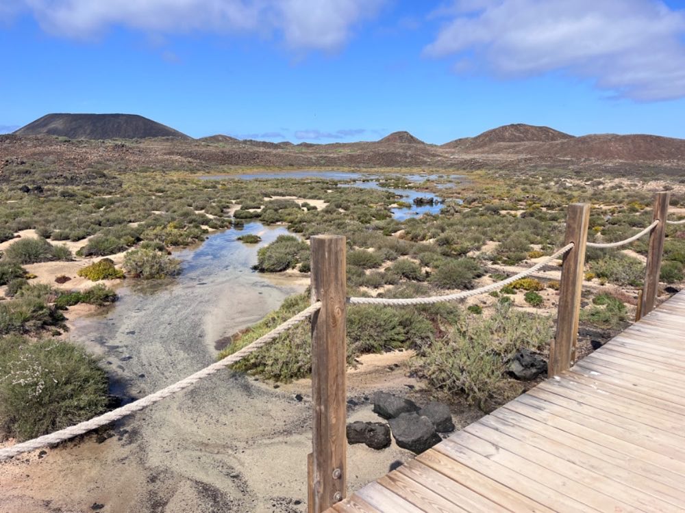 lanzarote vs fuerteventura 